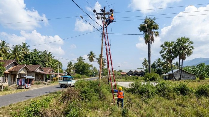 pln-1786798940551_169