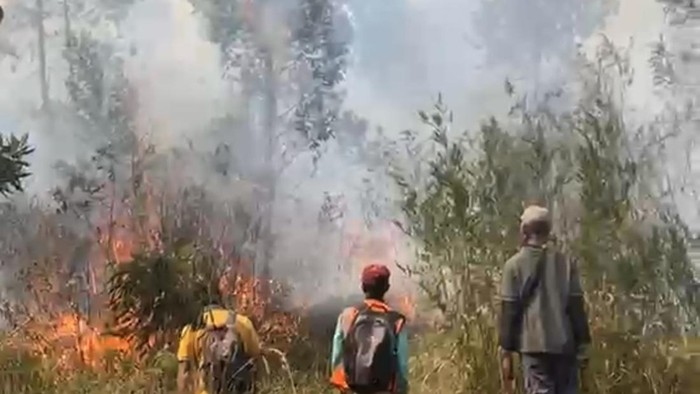kebakaran-hutan-di-tawangmangu-1792056330273_169