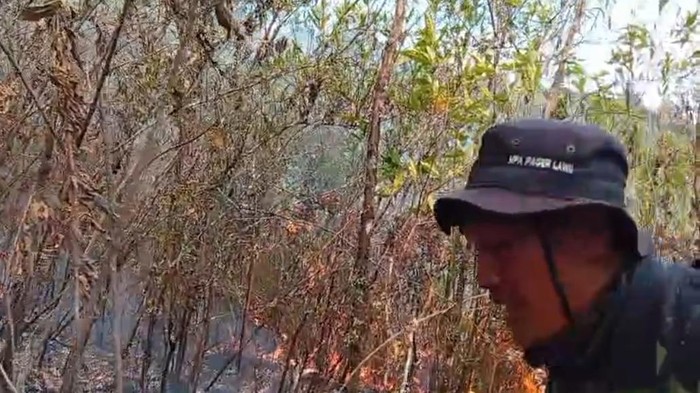 kondisi-kebakaran-hutan-dan-lahan-di-gunung-lawu-kabupaten-karanganyar-1792310705343_169