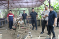Visit Agenda: Sabung Ayam di Tangerang Digerebek Polisi, 2 Orang Ditangkap