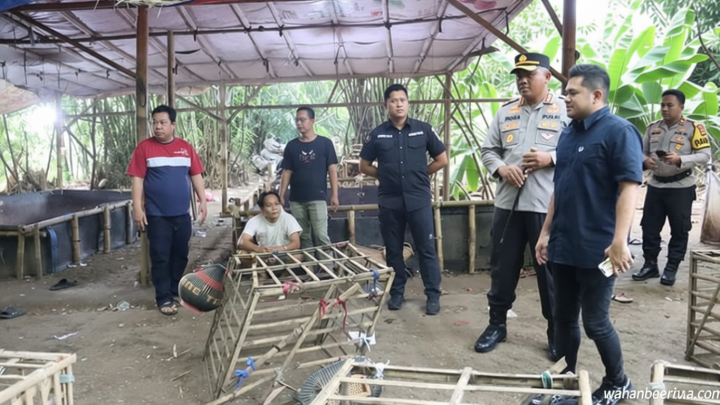 Visit Agenda: Sabung Ayam di Tangerang Digerebek Polisi, 2 Orang Ditangkap