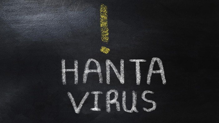 Key Discussion: Belajar dari COVID: Jangan Menunggu Hantavirus Meledak