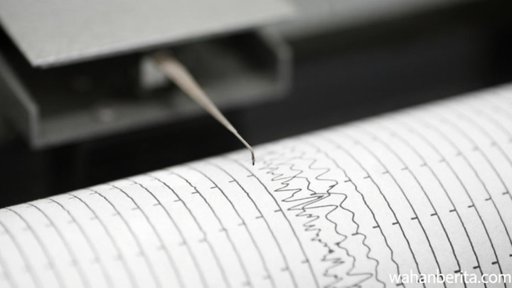 What You Need to Know: Gempa M 6,7 Guncang Tanimbar Maluku