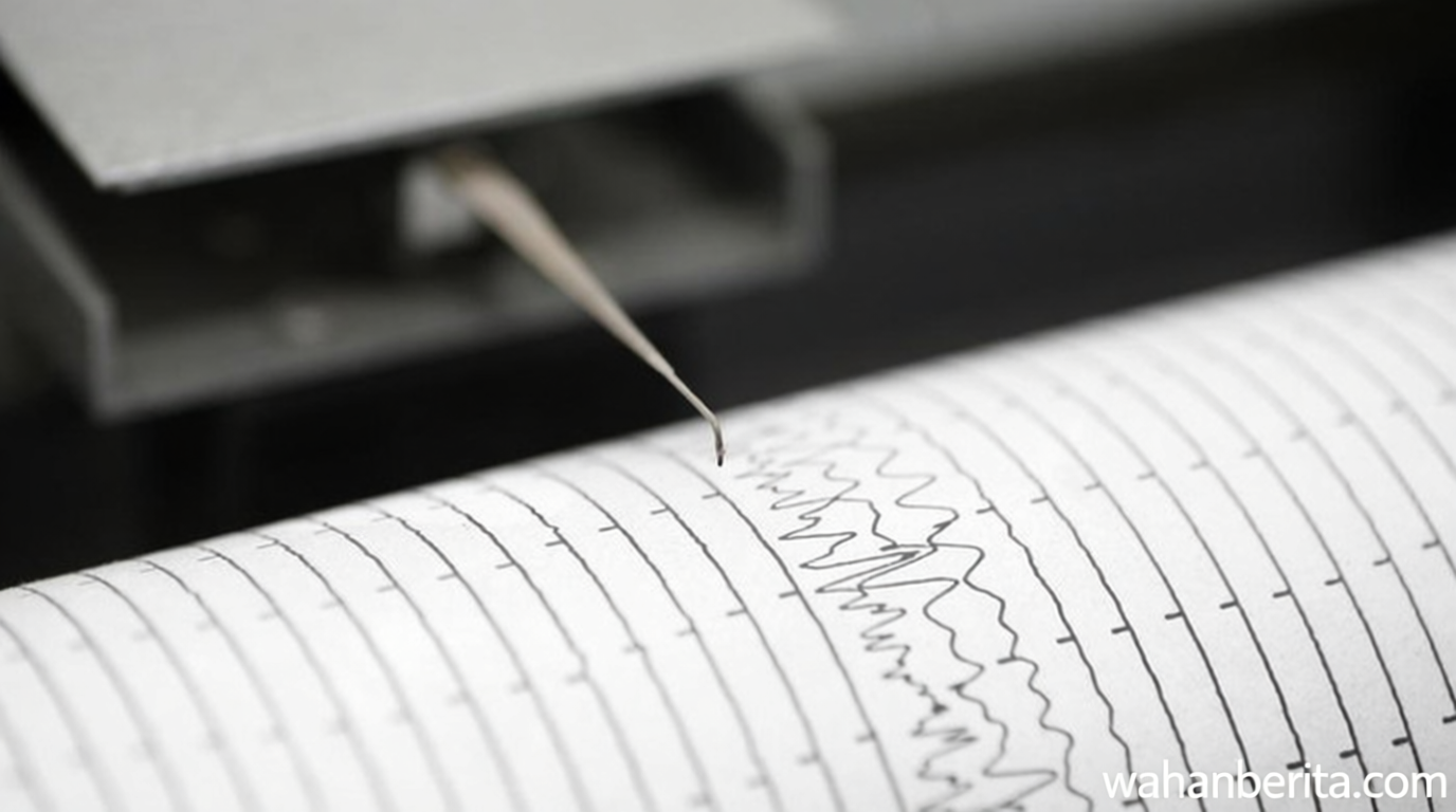 What You Need to Know: Gempa M 6,7 Guncang Tanimbar Maluku