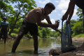 Danau Sanjay Mengering – Ikan Mati Bermunculan di New Delhi