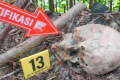 Important Visit: Hilang Sejak April, Pria Malaka Ditemukan Tersisa Tengkorak di Hutan