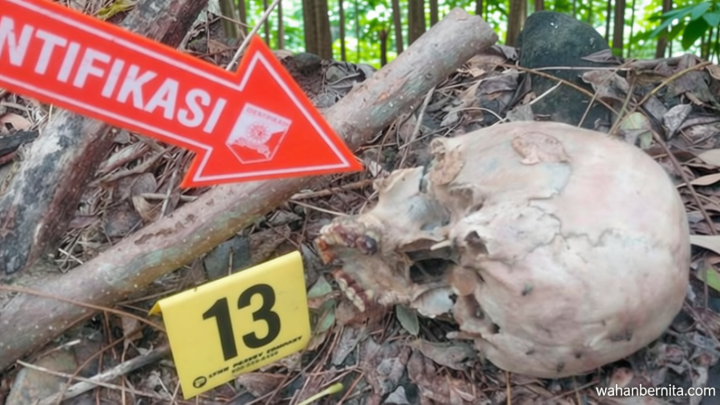 Important Visit: Hilang Sejak April, Pria Malaka Ditemukan Tersisa Tengkorak di Hutan