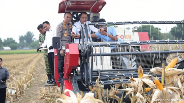 Special Plan: Dukung Swasembada Pangan, Polda Sumsel Lampaui Target Melalui Panen Raya di OKU