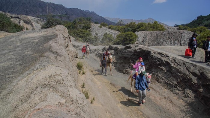 Bromo Ditutup Demi Penghormatan Ritual Yadnya Kasada