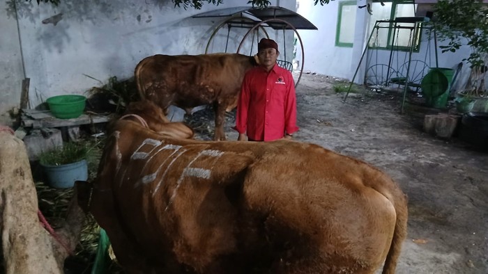 dpd-pdip-jatim-bagikan-468-ekor-sapi-kurban-untuk-warga-dan-pesantre-1779759485738