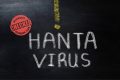 Latest Program: Penumpang Kapal Pesiar Lokasi Hantavirus Merebak Bakal Pulang ke Negara Asal