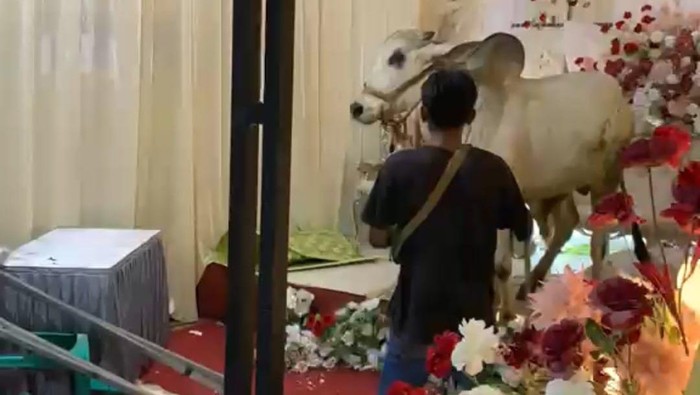 idul-adha-1779868562564_169