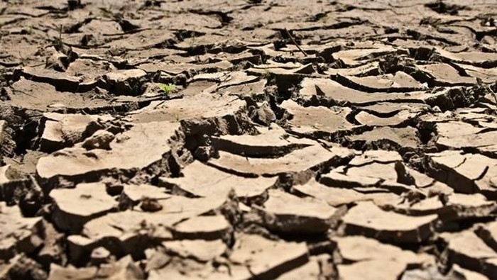 ilustrasi-kekeringan-sebagai-dampak-el-nino-freepik-1776310365501_169