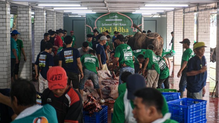 istiqlal-potong-136-hewan-kurban-termasuk-sapi-prabowo-1749270489558_169