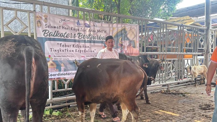iyung-64-penyembelih-hewan-kurban-1779866941493_169