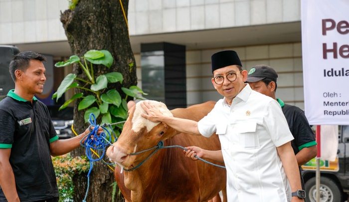 Visit Agenda: Kemenbud Kurban 23 Ekor Sapi, Menbud Bicara Nilai-nilai Pengorbanan