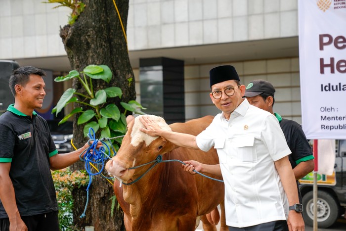 kemenbud-kurban-23-ekor-sapi-1779790909532