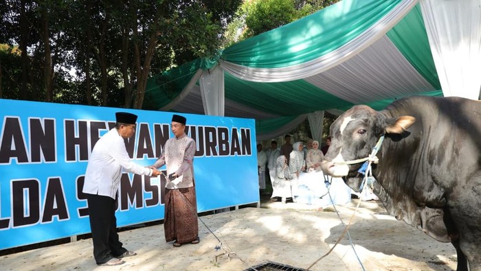 kepolisian-daerah-sumatera-selatan-polda-sumsel-menyalurkan-ratusan-hewan-kurban-di-hari-raya-idul-adha-1447-hijriah-dok-istim-1779847288009_169
