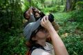 Menyusuri Hutan Panama, Pengamat Burung Ramaikan Global Big Day