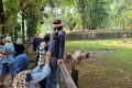 What Happened During: Cerita Petugas Ragunan Sempat Bingung Ditanya Lokasi ‘Mas Bro’