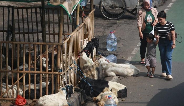 Pramono Larang Pedagang Hewan Kurban Jualan di Trotoar