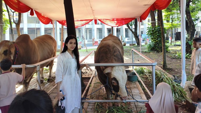 sapi-prabowo-gibran-jadi-rebutan-foto-warga-1779860681194_169