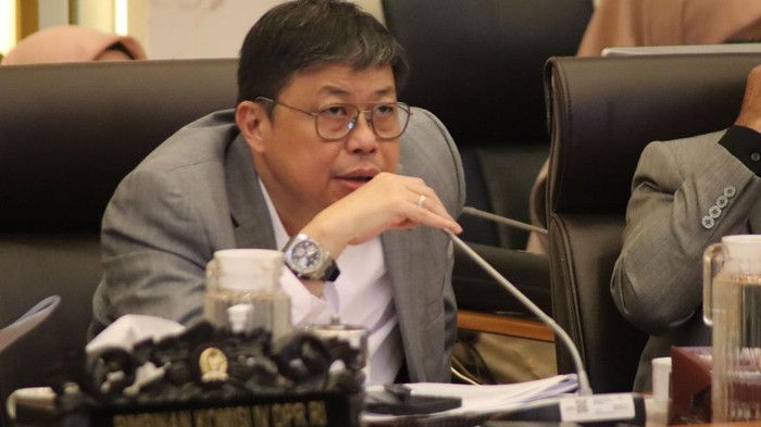Special Plan: Rehabilitasi Pascabencana Sumatera, Waka Komisi IV DPR Dorong Reforestasi