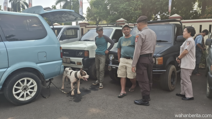 Solution For: detik Bocah Tewas Diserang Anjing Pemburu di Bogor Saat Mancing Belut