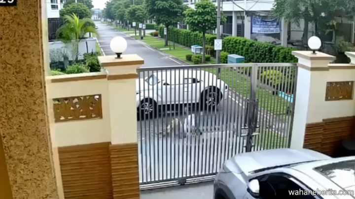 Solution For: Misteri Pria yang Coba Culik Kakek 70 Tahun di PIK