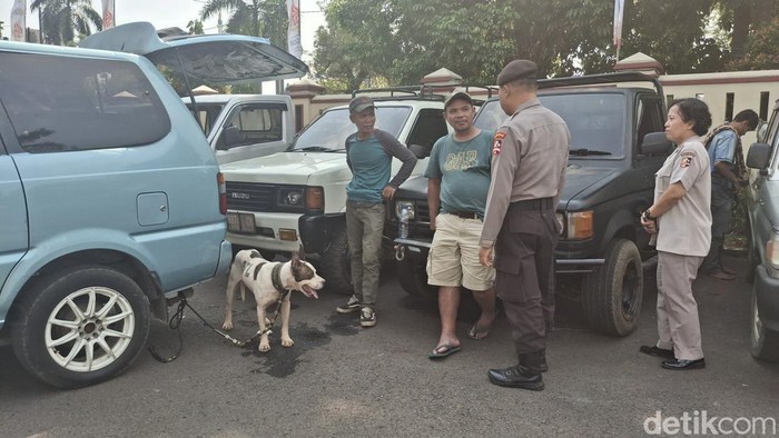 bocah-laki-laki-berusia-9-tahun-tewas-diserang-anjing-pemburu-babi-hutan-di-jasinga-bogor-jawa-barat-kasus-itu-mencuat-setelah-1780915104799_169-1