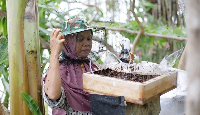 Key Strategy: Program SLV Bangun Model Desa Berkelanjutan dari Madu Trigona