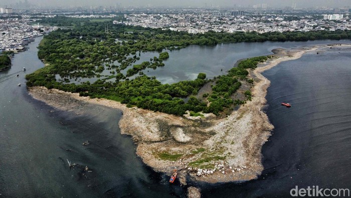 foto-udara-pulau-sampah-di-muara-angke-2_169