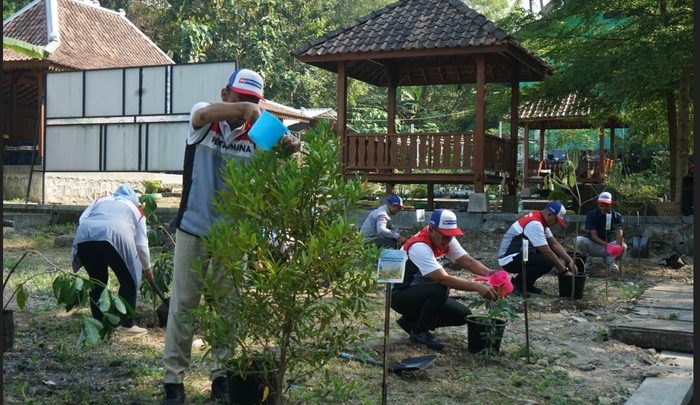 Latest Program: Pertamina Tanam 1.000 Pohon & Perkuat Inovasi Pengelolaan Sampah