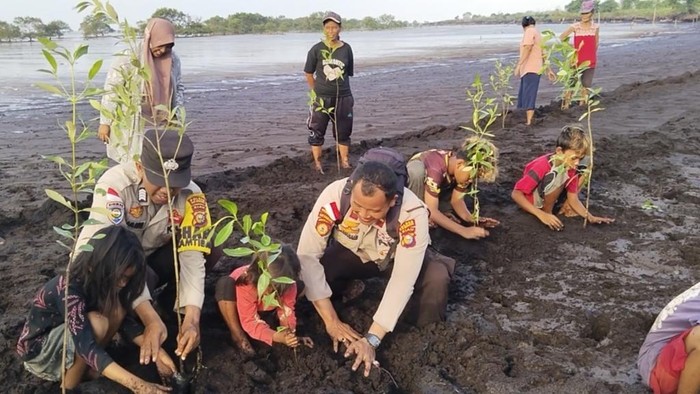 polisi-dan-suku-akit-menanam-mangrove-di-tepi-pantai-cegah-abrasi-1780756670756_169