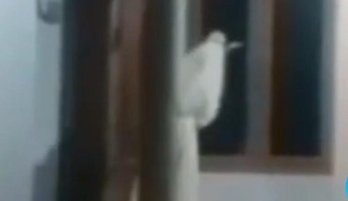 Visit Agenda: Viral ‘Pocong’ Bawa Celurit Hantui Warga Bangkalan, Camat Pastikan Hoax