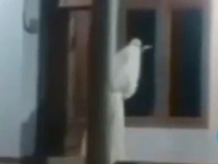 teror-pocong-bangkalan-1780302788418_43