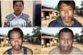 Asal-usul Tapir yang Keliaran di Lampung hingga Dimasak Warga Jadi Rica-rica