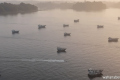 Iran Akan Pasang Tarif Selat Hormuz – Negara Sahabat Dapat Perlakuan Khusus