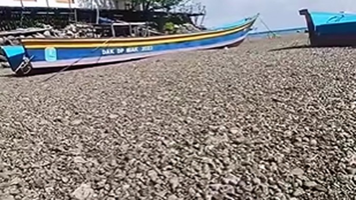 perairan-biak-dan-sarmi-dipenuhi-batu-apung-1783509080653_169