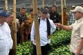 What Happened During: Pemulihan Bencana, 3 Menteri Bergantian Datangi Tanah Gayo dalam Sepekan