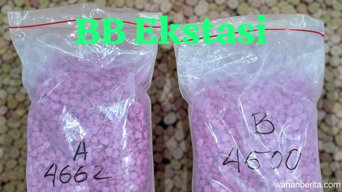2c28934e-2462-4cf5-af4d-3a8ce2a2d6c9-0
