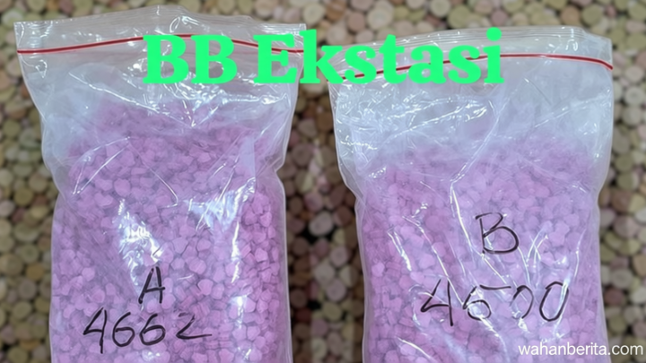 Kurir Ekstasi Jaringan Malaysia-Medan Baru Direkrut Sehari, Diupah Rp 700 Ribu