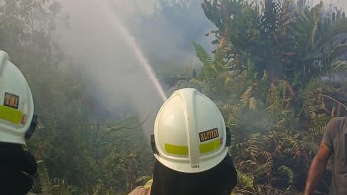 Kebakaran Dekat Stasiun Kampung Bandan yang Ganggu Arus KRL Dipicu Bara Rokok