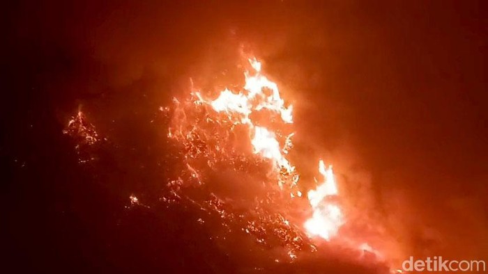 Awal Mula Kebakaran Bromo yang Meluas hingga Kini Ditutup Total