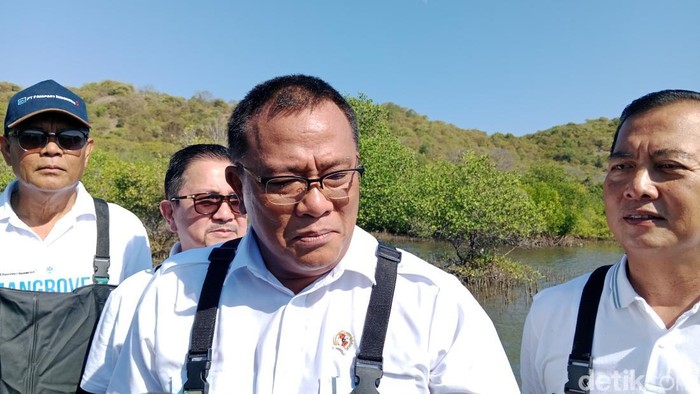 MenterI LH Bakal Tindak Penebangan Pohon Depan Lapangan Padel Bandung: Barbar!