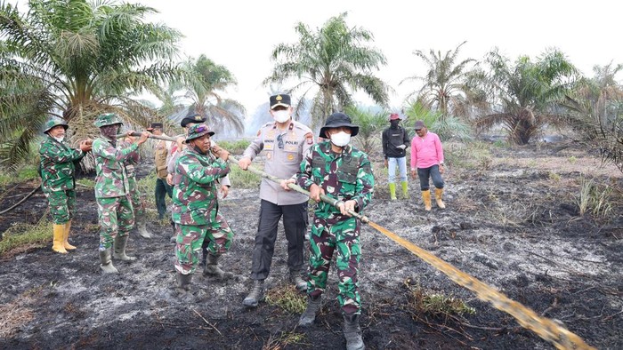 Petugas Gabungan Polisi-TNI Padamkan 6 Hektare Lahan Karhutla di Rohil