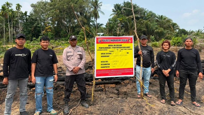 Pria di Inhu Bakar 1,5 Hektare Lahan, Alsannya Mau Usir Nyamuk