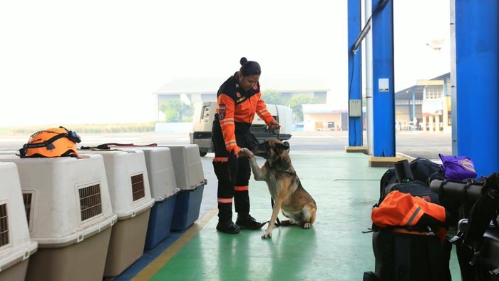 Mabes Polri Turunkan K9 dan 2,5 Ton Logistik ke Lokasi Gempa NTT