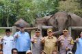 Anggota DPR RI Rajiv Minta Pemerintah Anggarkan Vaksin untuk Anak Gajah