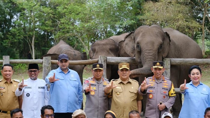 Anggota DPR RI Rajiv Minta Pemerintah Anggarkan Vaksin untuk Anak Gajah
